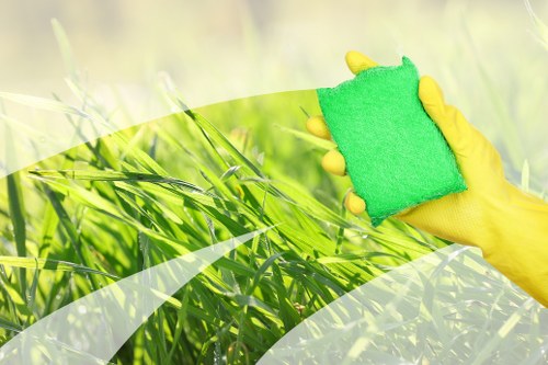 Deep upholstery cleaning service for a living room sofa in W12