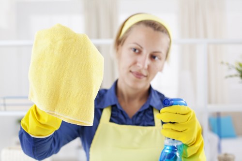Pet stain odour removal process for a W12 flat interior