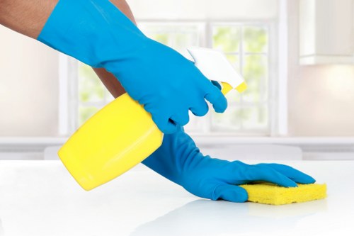 Safe Carpet Cleaners W12 payments section with Visa, Mastercard, PayPal, and bank transfer options