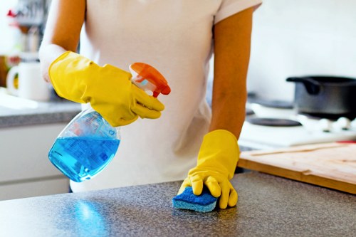 Professional cleaning of kitchen and washroom areas in a W12 office