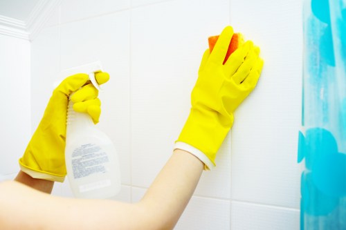 Cleaner treating a mattress affected by pet odour in W12