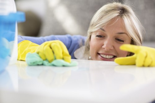 Regular cleaning support for a W12 family home