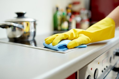 Illustration for accessibility request support on carpet cleaners W12 page