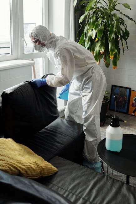 Goldhawk Road upholstery cleaning Shepherds Bush stain rescue